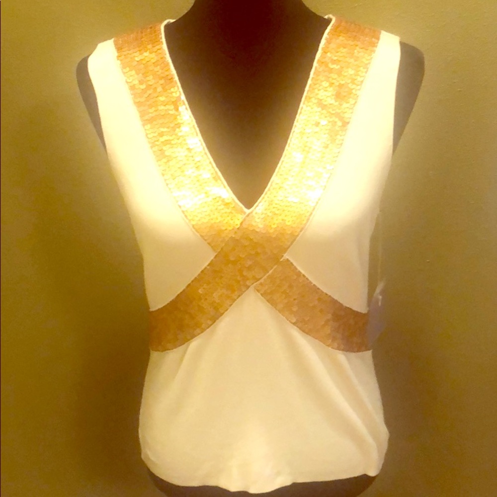 NWT ✨Frost Sparkling Top✨